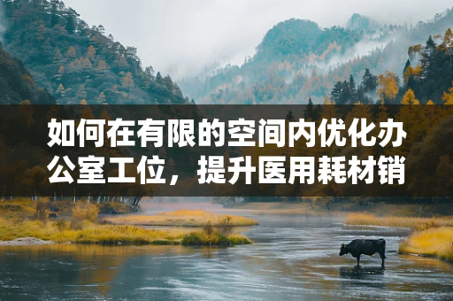 如何在有限的空间内优化办公室工位，提升医用耗材销售团队的工作效率？