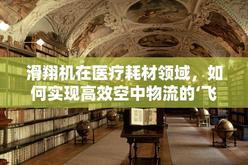 滑翔机在医疗耗材领域，如何实现高效空中物流的‘飞翔’？
