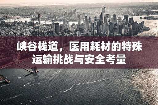 峡谷栈道，医用耗材的特殊运输挑战与安全考量