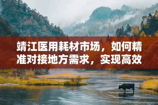 靖江医用耗材市场，如何精准对接地方需求，实现高效供给？
