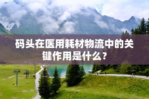码头在医用耗材物流中的关键作用是什么？