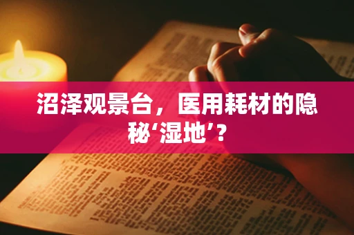 沼泽观景台，医用耗材的隐秘‘湿地’？