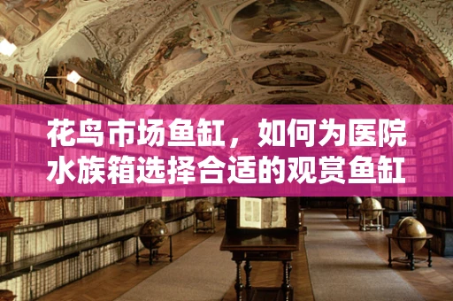 花鸟市场鱼缸，如何为医院水族箱选择合适的观赏鱼缸？