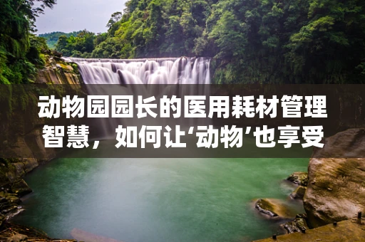 动物园园长的医用耗材管理智慧，如何让‘动物’也享受安全保障？