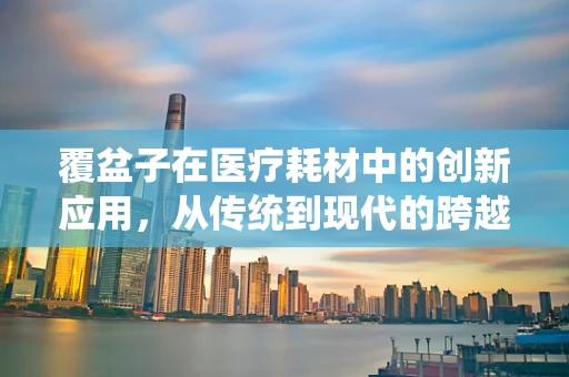 覆盆子在医疗耗材中的创新应用，从传统到现代的跨越？