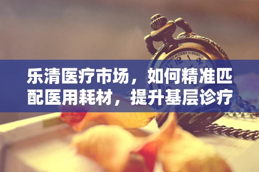 乐清医疗市场，如何精准匹配医用耗材，提升基层诊疗效率？