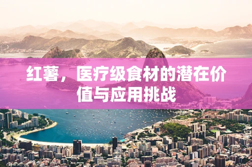 红薯，医疗级食材的潜在价值与应用挑战