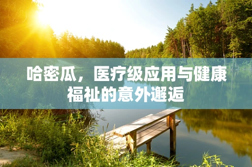 哈密瓜，医疗级应用与健康福祉的意外邂逅
