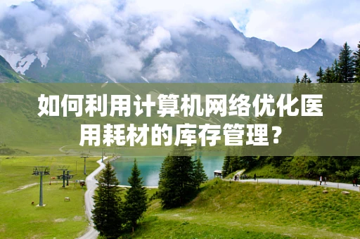 如何利用计算机网络优化医用耗材的库存管理？