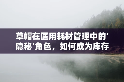 草帽在医用耗材管理中的‘隐秘’角色，如何成为库存控制的‘清凉’助手？