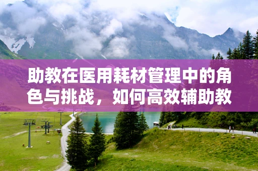 助教在医用耗材管理中的角色与挑战，如何高效辅助教学与临床实践的融合？
