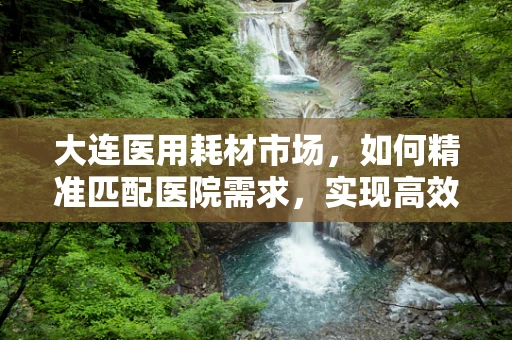 大连医用耗材市场，如何精准匹配医院需求，实现高效供应？