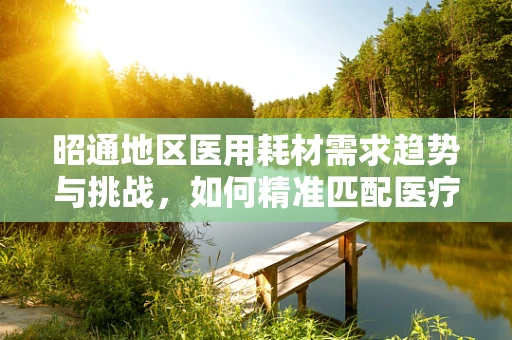 昭通地区医用耗材需求趋势与挑战，如何精准匹配医疗资源？