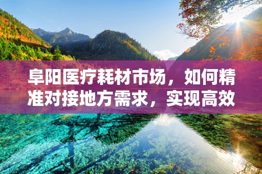 阜阳医疗耗材市场，如何精准对接地方需求，实现高效供给？