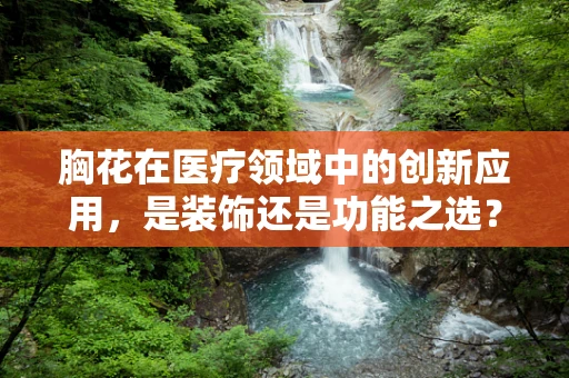胸花在医疗领域中的创新应用，是装饰还是功能之选？