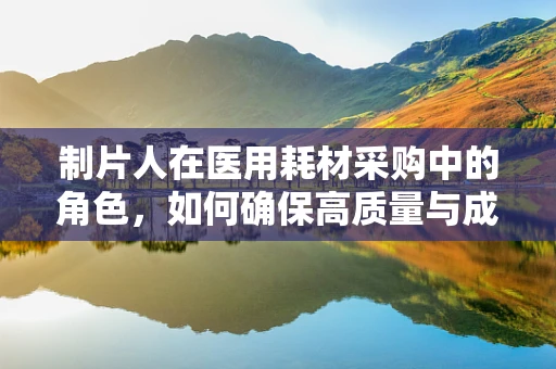 制片人在医用耗材采购中的角色，如何确保高质量与成本控制并重？