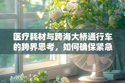 医疗耗材与跨海大桥通行车的跨界思考，如何确保紧急医疗物资的生命线畅通无阻？