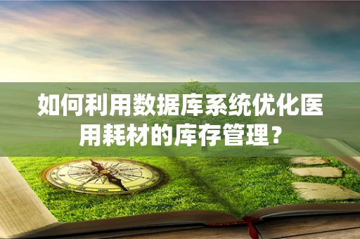 如何利用数据库系统优化医用耗材的库存管理？