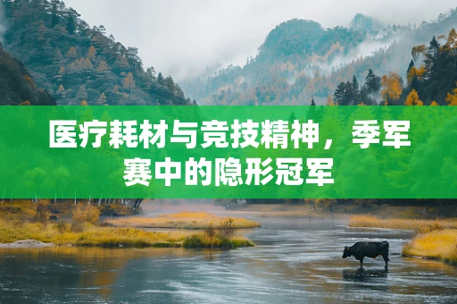 医疗耗材与竞技精神，季军赛中的隐形冠军