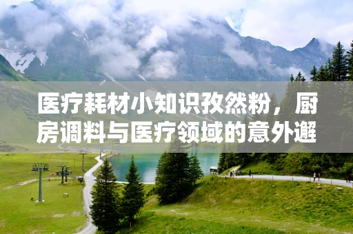 医疗耗材小知识孜然粉，厨房调料与医疗领域的意外邂逅