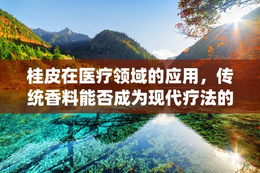 桂皮在医疗领域的应用，传统香料能否成为现代疗法的秘密武器？