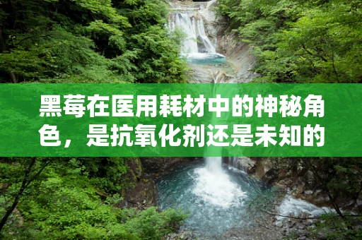 黑莓在医用耗材中的神秘角色，是抗氧化剂还是未知的医疗应用？