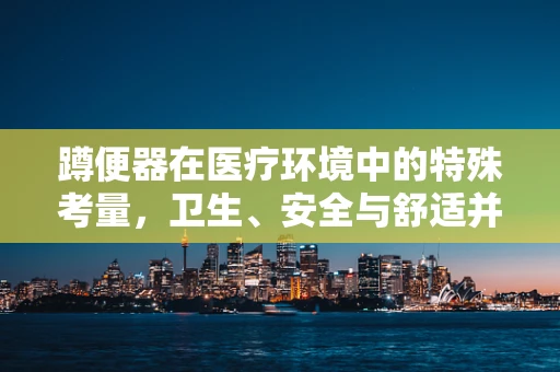 蹲便器在医疗环境中的特殊考量，卫生、安全与舒适并重