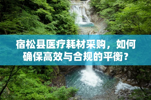宿松县医疗耗材采购，如何确保高效与合规的平衡？