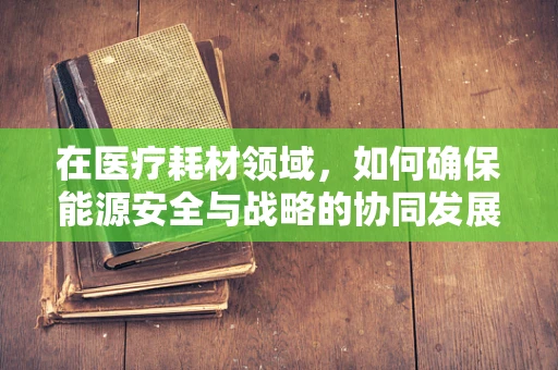 在医疗耗材领域，如何确保能源安全与战略的协同发展？