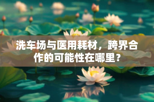 洗车场与医用耗材，跨界合作的可能性在哪里？