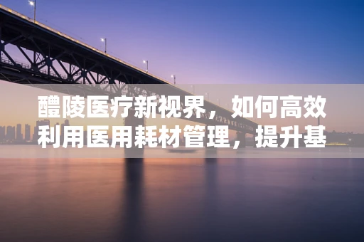 醴陵医疗新视界，如何高效利用医用耗材管理，提升基层医院效能？