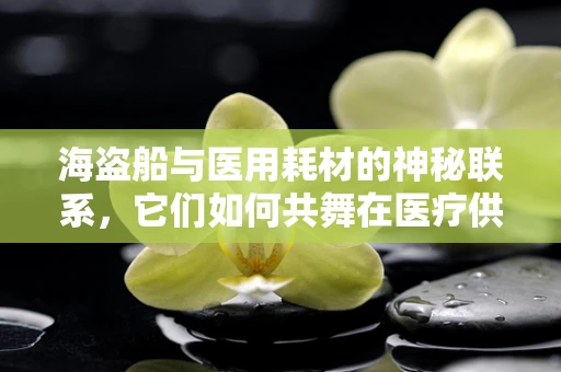 海盗船与医用耗材的神秘联系，它们如何共舞在医疗供应链中？