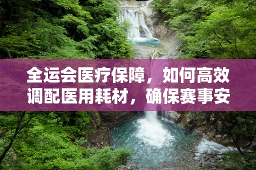 全运会医疗保障，如何高效调配医用耗材，确保赛事安全？