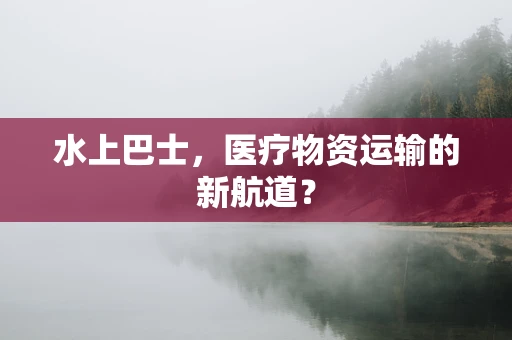 水上巴士，医疗物资运输的新航道？