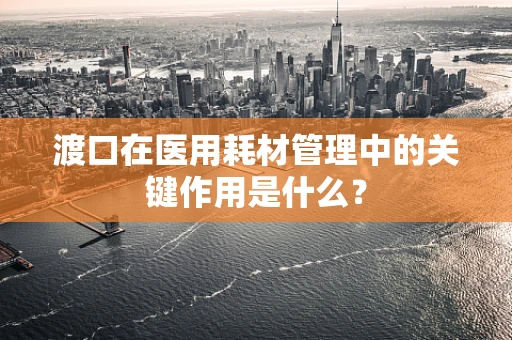 渡口在医用耗材管理中的关键作用是什么？
