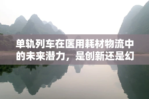 单轨列车在医用耗材物流中的未来潜力，是创新还是幻想？