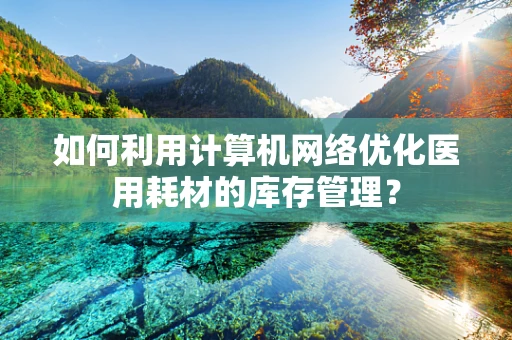 如何利用计算机网络优化医用耗材的库存管理？
