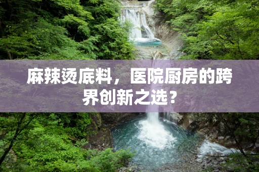 麻辣烫底料，医院厨房的跨界创新之选？