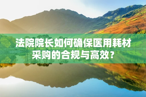 法院院长如何确保医用耗材采购的合规与高效？