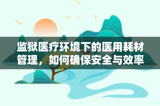 监狱医疗环境下的医用耗材管理，如何确保安全与效率？