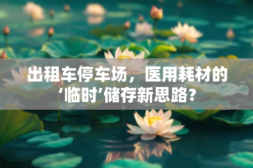 出租车停车场，医用耗材的‘临时’储存新思路？