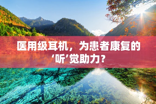 医用级耳机，为患者康复的‘听’觉助力？