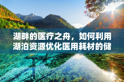 湖畔的医疗之舟，如何利用湖泊资源优化医用耗材的储存与运输？