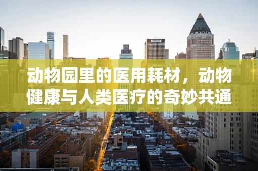 动物园里的医用耗材，动物健康与人类医疗的奇妙共通之处