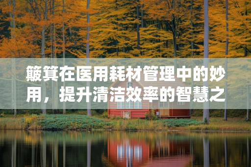 簸箕在医用耗材管理中的妙用，提升清洁效率的智慧之选？