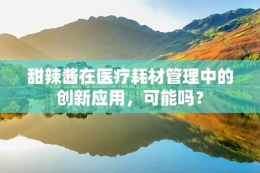 甜辣酱在医疗耗材管理中的创新应用，可能吗？