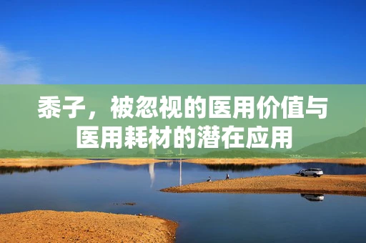 黍子，被忽视的医用价值与医用耗材的潜在应用