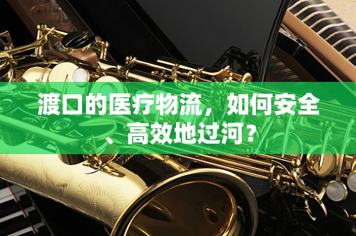 渡口的医疗物流，如何安全、高效地过河？