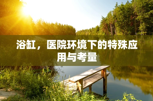 浴缸，医院环境下的特殊应用与考量
