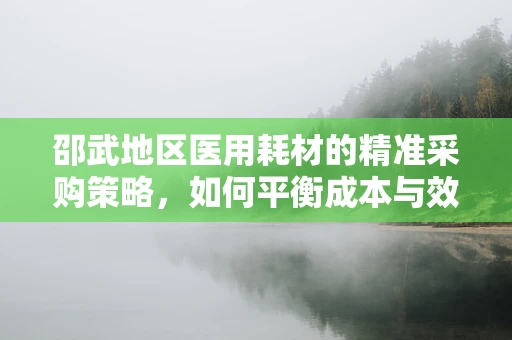 邵武地区医用耗材的精准采购策略，如何平衡成本与效率？